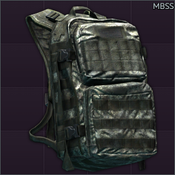 MBSS
