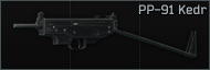 PP-91 Kedr