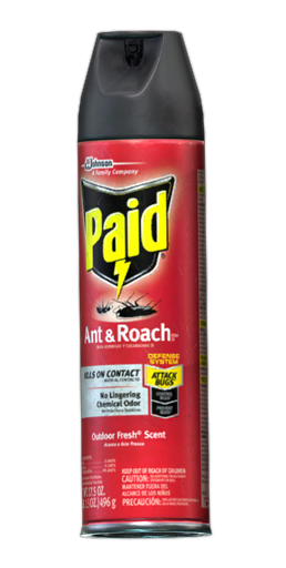 Raid (Insektenspray) – Wikipedia