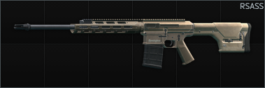 RSASS Default