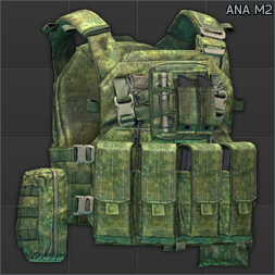 ANA M2