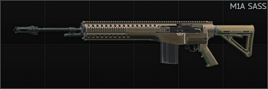 M1A SASS