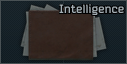 Intelligence