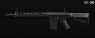 SR-25 Default