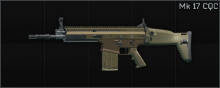 FN SCAR-H 7.62x51 assault rifle (FDE) CQC