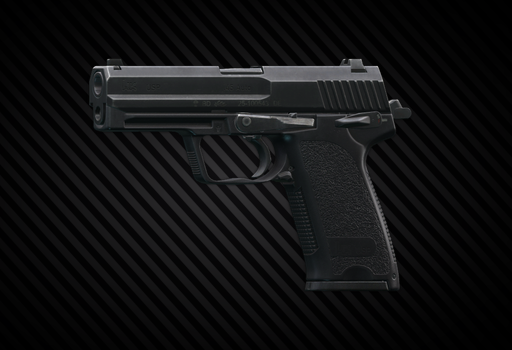 USP .45 Default