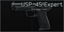 HK USP .45 ACP pistol Expert