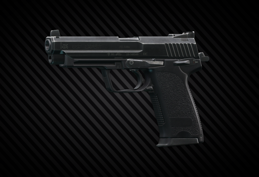 USP .45 Expert
