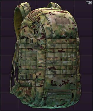 T30