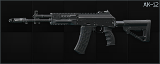 AK-12 Default