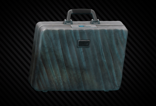 Armored case
