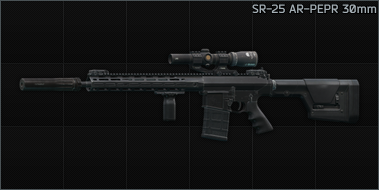 SR-25 AR-PEPR 30mm