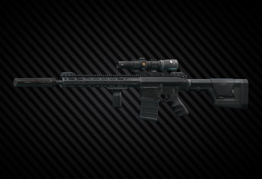 SR-25 AR-PEPR 30mm