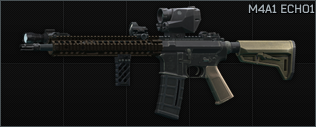 M4A1 ECHO1